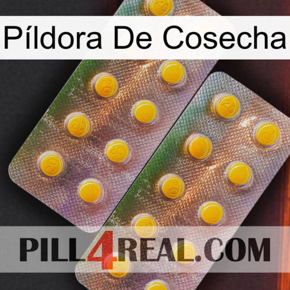 Píldora De Cosecha new10.jpg